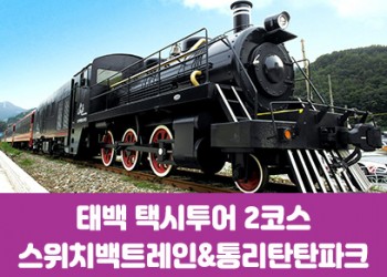[태백택시투어 2코스]통리탄탄파크&스위치백트레인(당일)