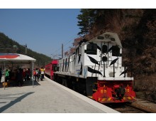 정동진 바다+협곡열차(V-train)+철암-승부-양원-분천-소수서원[당일여행] 2식(중/석식)제공