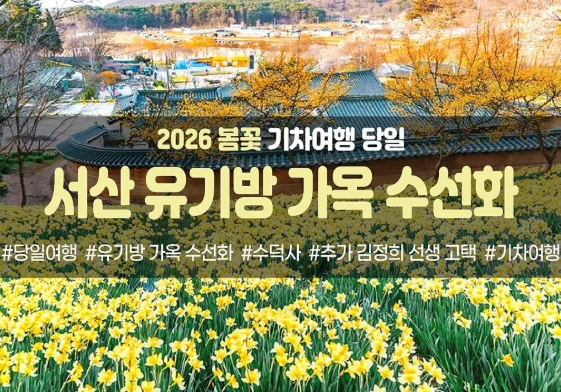 [경상권/호남권/충청권/수도권출발] 서산 유기방 가옥 수선화&예산 수덕사(당일)