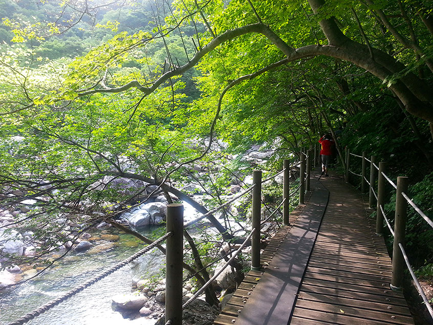 [KTX 당일] 지리산 뱀사골&지리산 흑돼지구이+남원 광한루&추어탕 (당일)