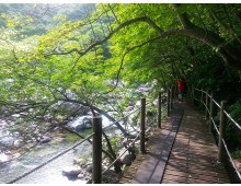 [KTX 당일] 지리산 뱀사골&지리산 흑돼지구이+남원 광한루&추어탕 (당일)