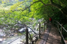 [KTX 당일] 지리산 뱀사골&지리산 흑돼지구이+남원 광한루&추어탕 (당일)
