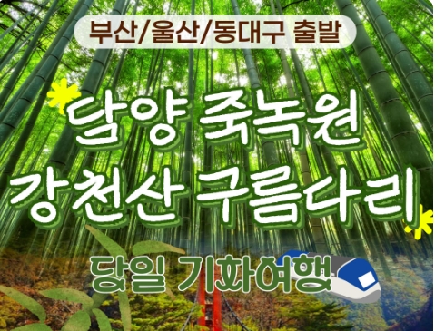 [KTX부산/울산/동대구] 담양 죽녹원&메타세콰이어&강천산 구름다리 당일 기차여행-중식제공