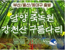 [KTX부산/울산/동대구] 담양 죽녹원&메타세콰이어&강천산 구름다리 당일 기차여행-중식제공