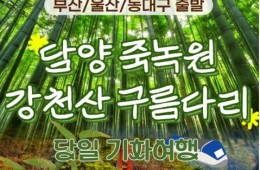 [KTX부산/울산/동대구] 담양 죽녹원&메타세콰이어&강천산 구름다리 당일 기차여행-중식제공