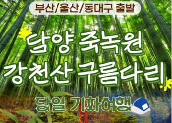 [KTX부산/울산/동대구] 담양 죽녹원&메타세콰이어&강천산 구름다리 당일 기차여행-중식제공