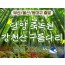 [KTX부산/울산/동대구] 담양 죽녹원&메타세콰이어&강천산 구름다리 당일 기차여행-중식제공