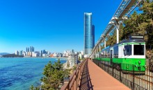 [KTX-1박]♠호텔♠동해의 빛! 시간여행 경주+울산 태화강국가정원+부산 해운대해변열차