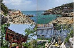 KTX◈경상 환타지아◈포항/울산/부산/경주 2박3일 @호텔 다움 2박