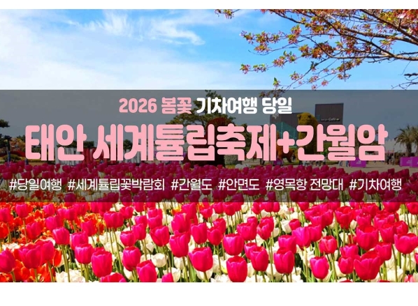 [경상권/충청권/수도권출발] 태안 세계튤립꽃박람회&간월암(당일)