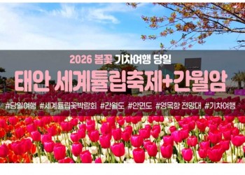[경상권/충청권/수도권출발] 태안 세계튤립꽃박람회&간월암(당일)
