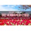 [경상권/충청권/수도권출발] 태안 세계튤립꽃박람회&간월암(당일)