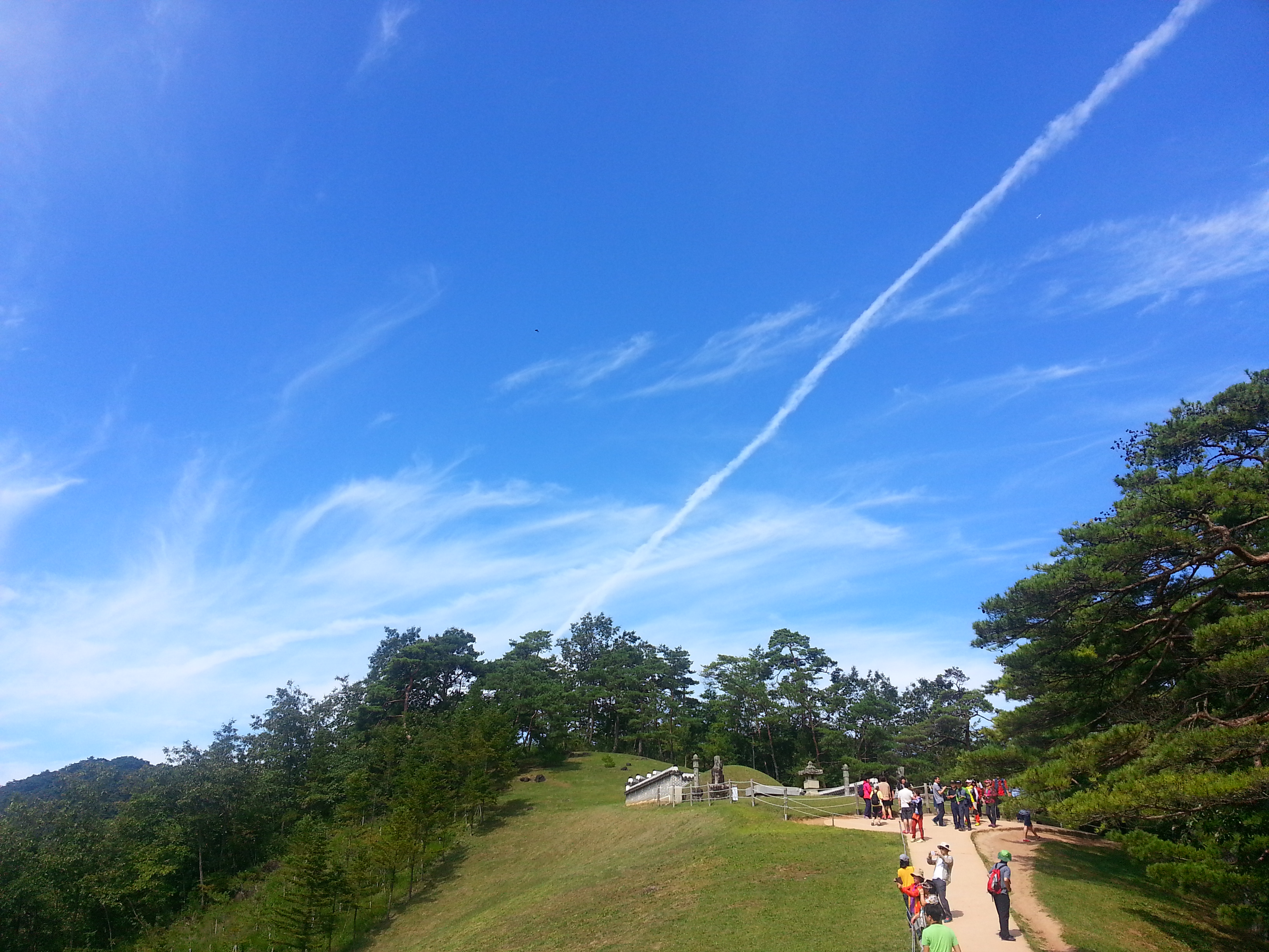 영월 청령포*장릉*동강트레킹 별미여행 당일추천여행