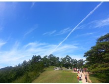 영월 청령포*장릉*동강트레킹 별미여행 당일추천여행