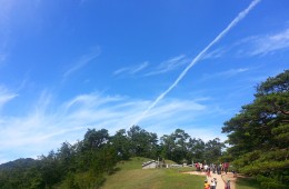 영월 청령포*장릉*동강트레킹 별미여행 당일추천여행