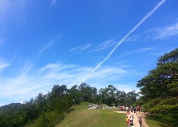 영월 청령포*장릉*동강트레킹 별미여행 당일추천여행